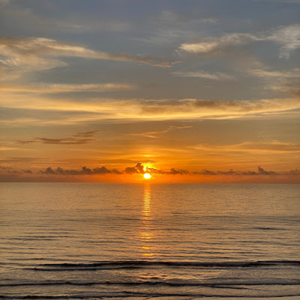 Meet your Posher, Mischelle